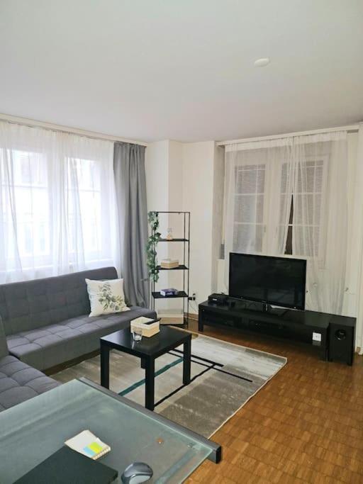 5-mins Walk To Main Station - Center Zürich